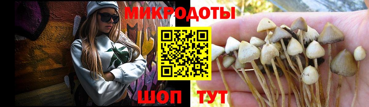 Чапаевск  Галлюциногенные грибы мухоморы  Галлюциногенные грибы Magic Shrooms  Вход с VPN 
