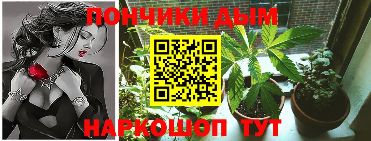 Бошки марихуана конопля  Вход с VPN  Бошки Шишки THC 21%  Чапаевск  Марихуана индика 